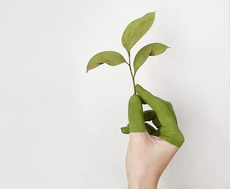 Bodet’s environmental initiatives