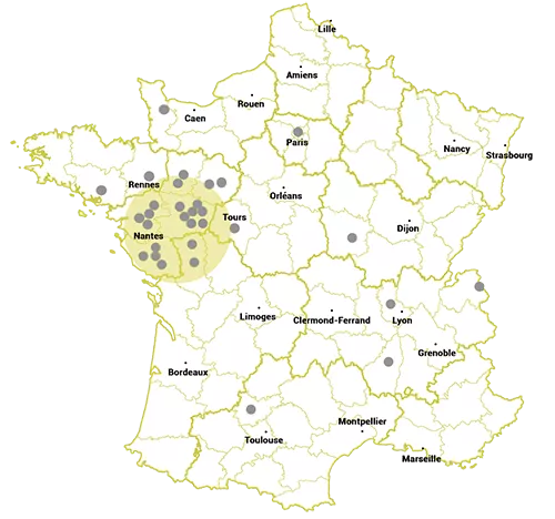 The majority of Bodet partners are local